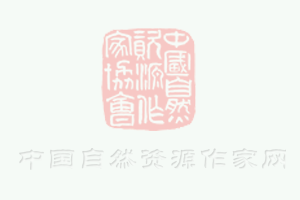 企業(yè)食堂美食節(jié)方案主題